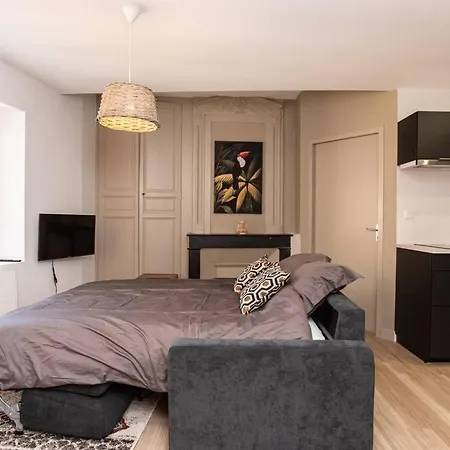 Jungle - T2 Centre Historique *