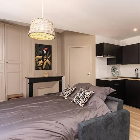 Apartamento Jungle - T2 Centre Historique *