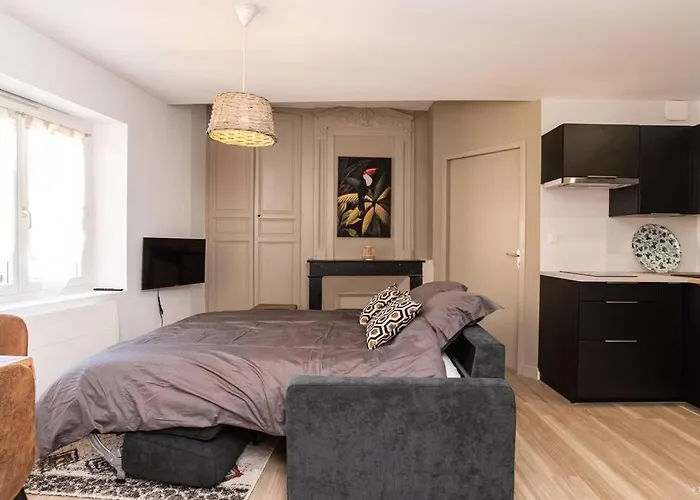 Jungle - T2 Centre Historique *