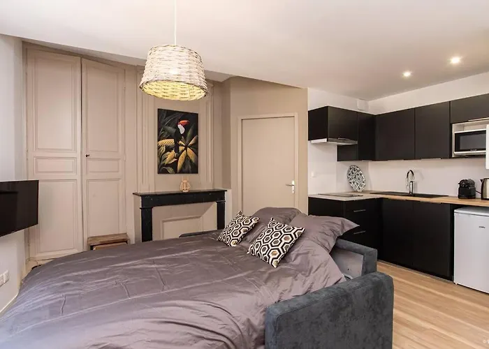 Apartamento Jungle - T2 Centre Historique *