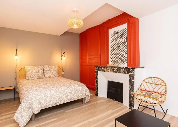 Jungle - T2 Centre Historique