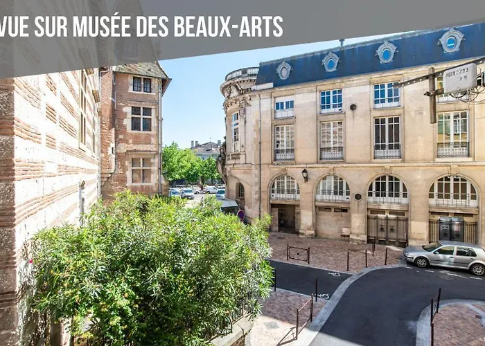 Jungle - T2 Centre Historique Agen